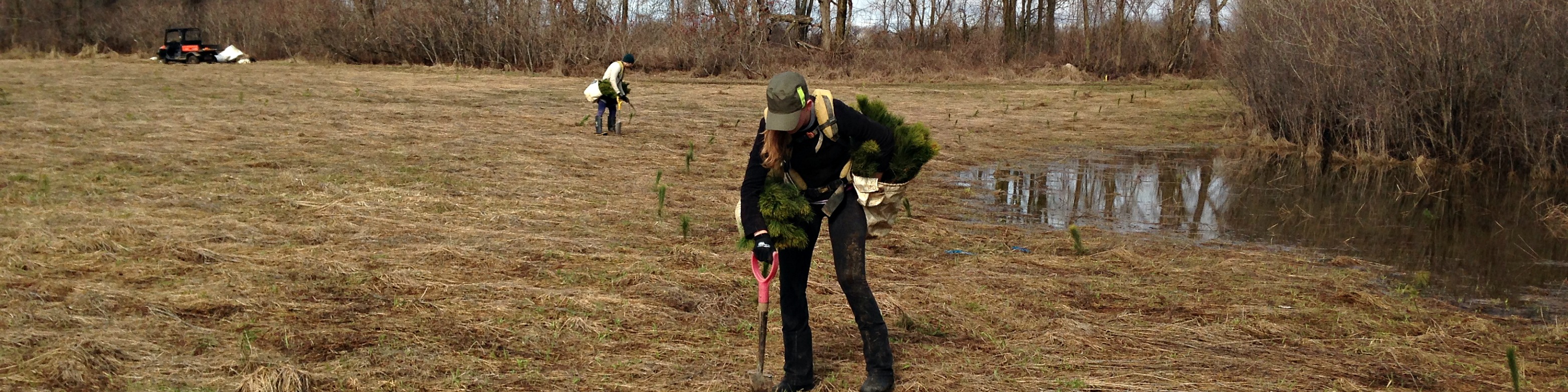 SNC staff tree planting